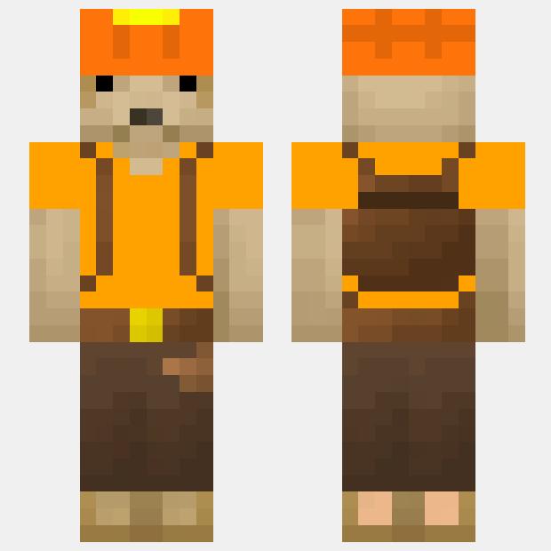 MinecraftSkinHub Skin Nameperro autista